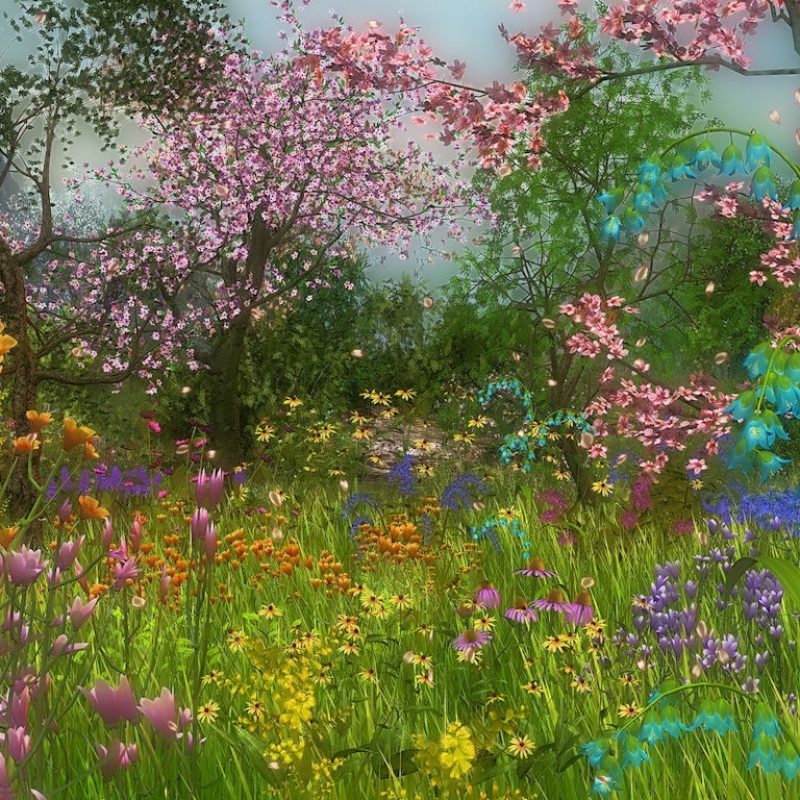 10 Latest Free Spring Screen Savers FULL HD 1080p For PC Background 2023 free download spring screensavers photo 800x800