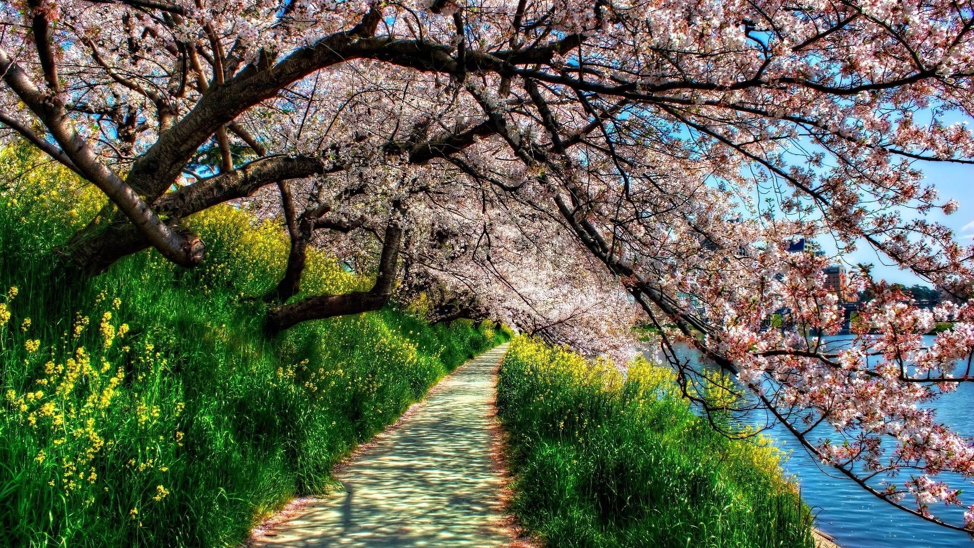 10 Top Spring Hd Wallpaper 1920X1080 FULL HD 1920×1080 For PC Background