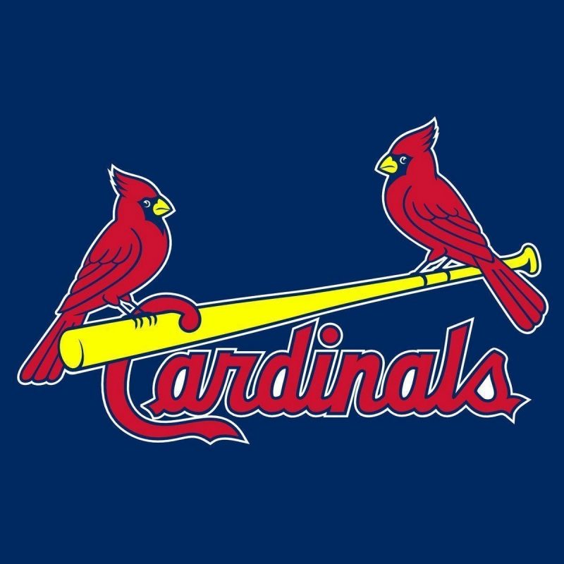 10 New St Louis Cardinals Wallpaper FULL HD 1080p For PC Background 2024 free download st louis cardinals desktop wallpapers wallpaper cave 1 800x800