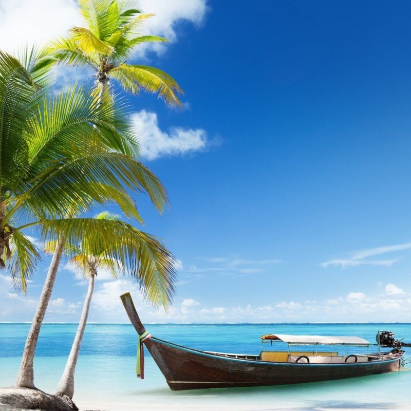 10 New Summer Beach Pictures For Desktop FULL HD 1080p For PC Desktop 2022 free download summer beach wallpapers media file pixelstalk 800x800