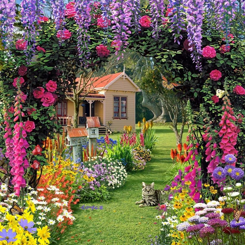 10 Top Free Flower Garden Wallpapers FULL HD 1920×1080 For PC Desktop 2022 free download summer garden flower wallpaper free hd for desktop hd wallpaper 1 800x800