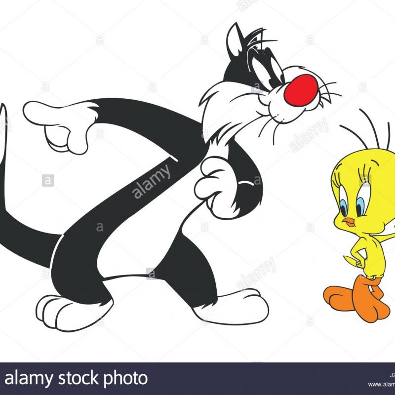 10 Best Pictures Of Sylvester The Cat FULL HD 1080p For PC Desktop 2022 free download sylvester cat tweety bird stock photo 139033404 alamy 800x800