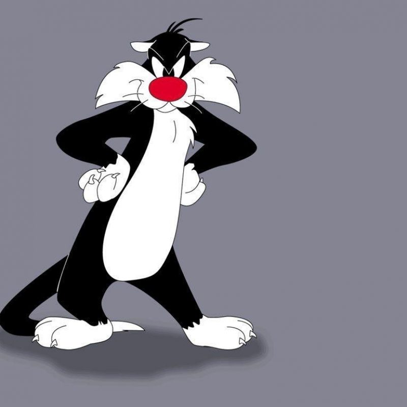 10 Best Pictures Of Sylvester The Cat FULL HD 1080p For PC Desktop 2022 free download sylvester cat wallpapers wallpaper cave 800x800