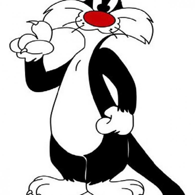 10 Best Pictures Of Sylvester The Cat FULL HD 1080p For PC Desktop 2022 free download sylvester the cat sylvester cat looney tunes looney tunes ect 800x800