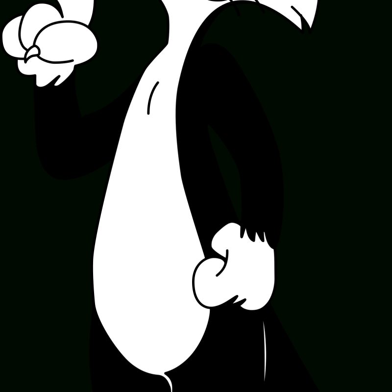 10 Best Pictures Of Sylvester The Cat FULL HD 1080p For PC Desktop 2022 free download sylvester the cat wikipedia 800x800