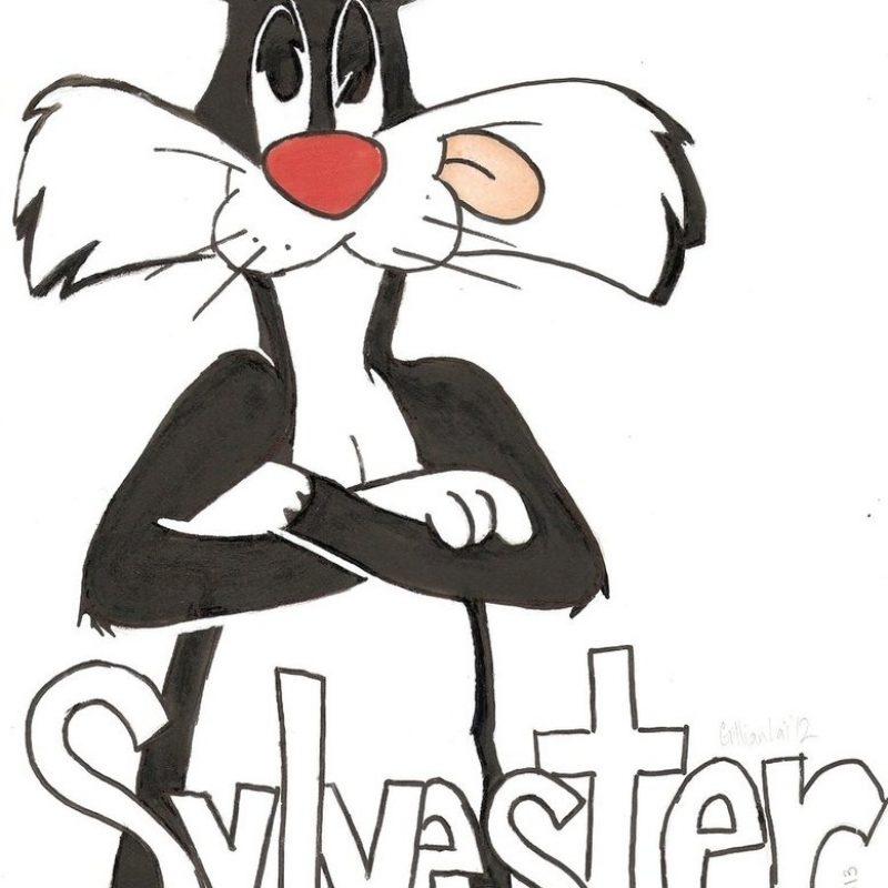 10 Best Pictures Of Sylvester The Cat FULL HD 1080p For PC Desktop 2022 free download sylvester the catgilliebrandie on deviantart 800x800