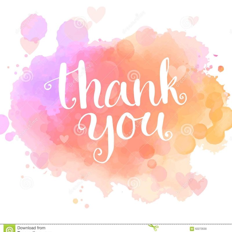 10 Most Popular Thank You Background Wallpaper FULL HD 1920×1080 For PC Background 2023 free download thank you card handwritten white phrase on pink stock vector 800x800