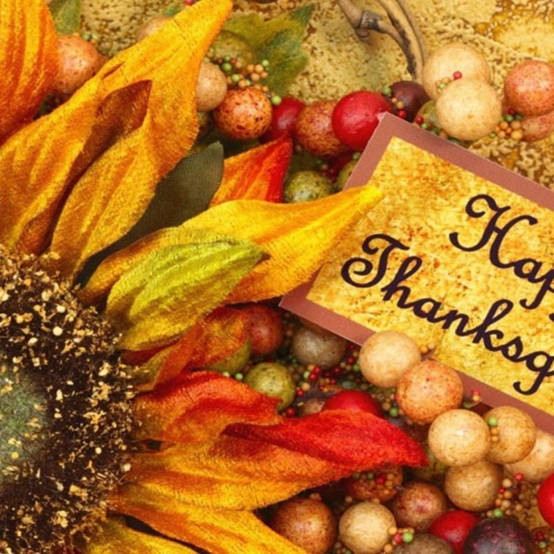 10 Most Popular Free Thanksgiving Screensavers Wallpaper FULL HD 1080p For PC Background 2023 free download thanksgiving screensavers wallpaper 63 images 800x800