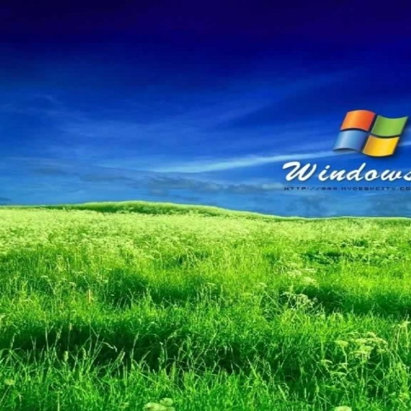 10 Latest Hd Windows Xp Wallpaper FULL HD 1080p For PC Desktop 2024 free download the best takes on the windows xp bliss wallpaper dorkly post hd 1 800x800