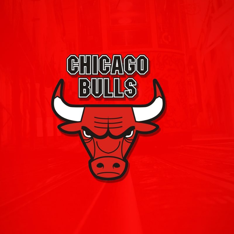 10 New Chicago Bulls Hd Wallpaper FULL HD 1080p For PC Desktop 2023 free download the chicago bulls wallpapers hd wallpapers id 17704 800x800