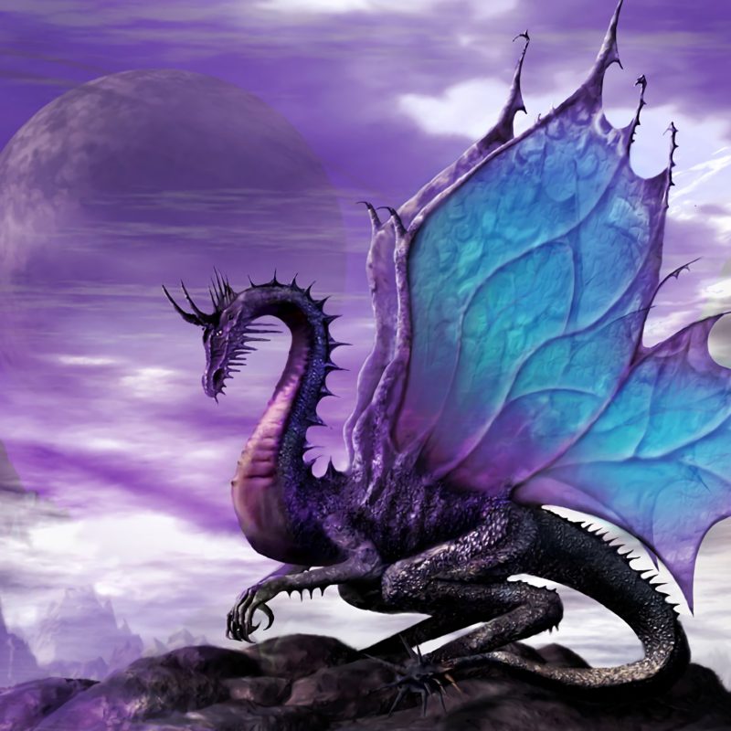 10 Top Purple Dragon Wallpaper 1920X1080 FULL HD 1080p For PC Desktop 2022 free download the dream of violet princess full hd wallpaper and background image 800x800