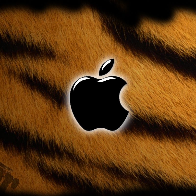 10 Latest Os X Tiger Wallpaper FULL HD 1920×1080 For PC Desktop 2022 free download tiger for apple mac os x the best hd wallpapers nest 800x800