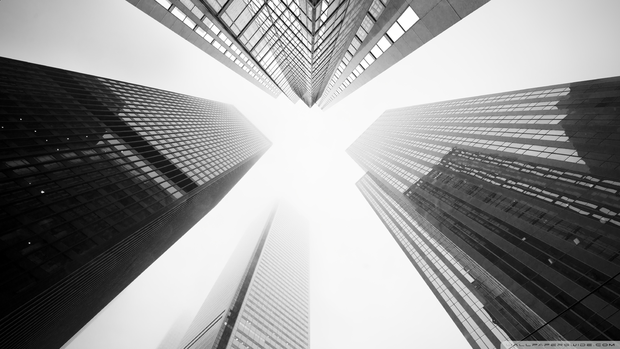 toronto skyscrapers black and white ❤ 4k hd desktop wallpaper for