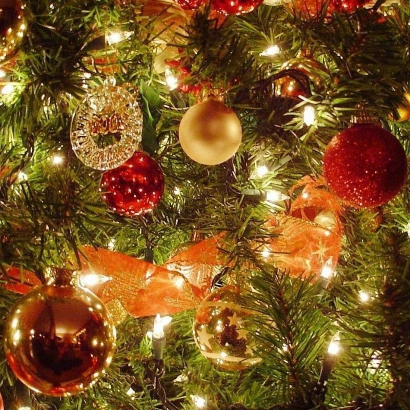 10 Best Christmas Tree Pictures For Desktop FULL HD 1920×1080 For PC Desktop 2022 free download tree decoration hd desktop wallpaper 27448 baltana 800x800