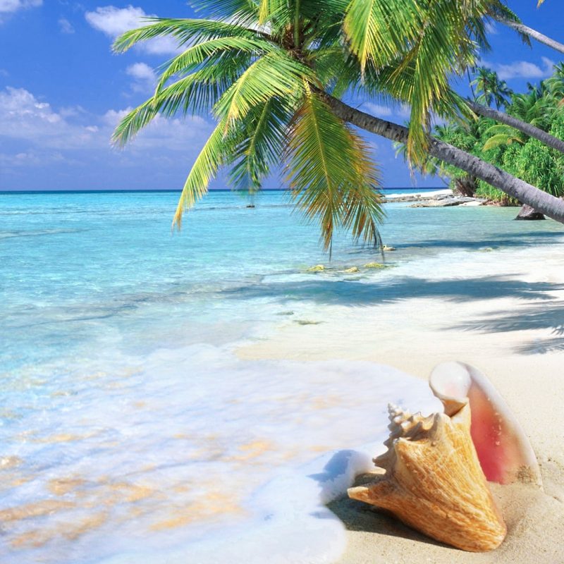 10 Latest Tropical Beach Wallpaper Desktop FULL HD 1920×1080 For PC Background 2023 free download %name