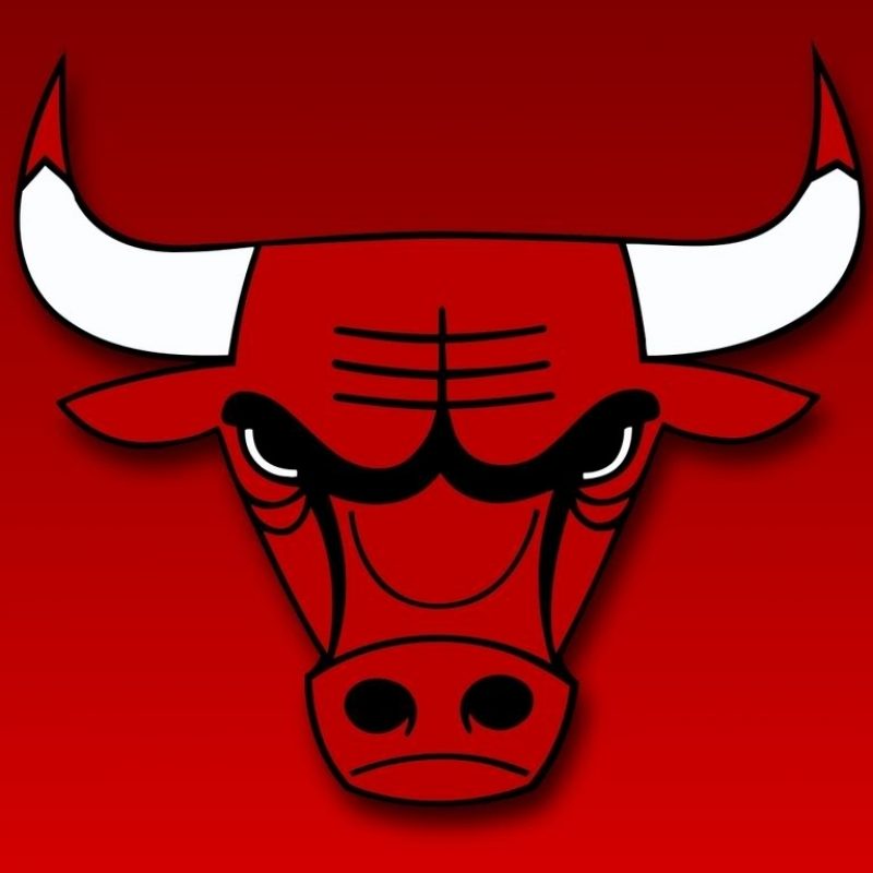 10 New Chicago Bulls Pictures Logo FULL HD 1080p For PC Background 2023 free download turn the chicago bulls logo upside down mind blown photo 800x800