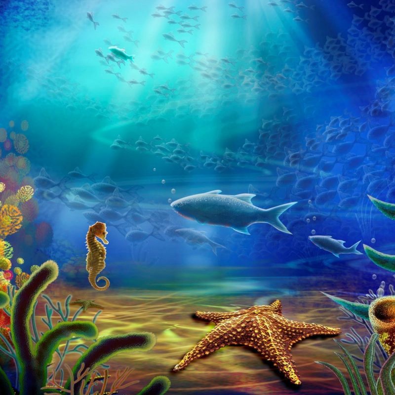 10 Best Under The Sea Wallpaper FULL HD 1920×1080 For PC Desktop 2024 free download under the sea background c2b7e291a0 download free stunning full hd 800x800