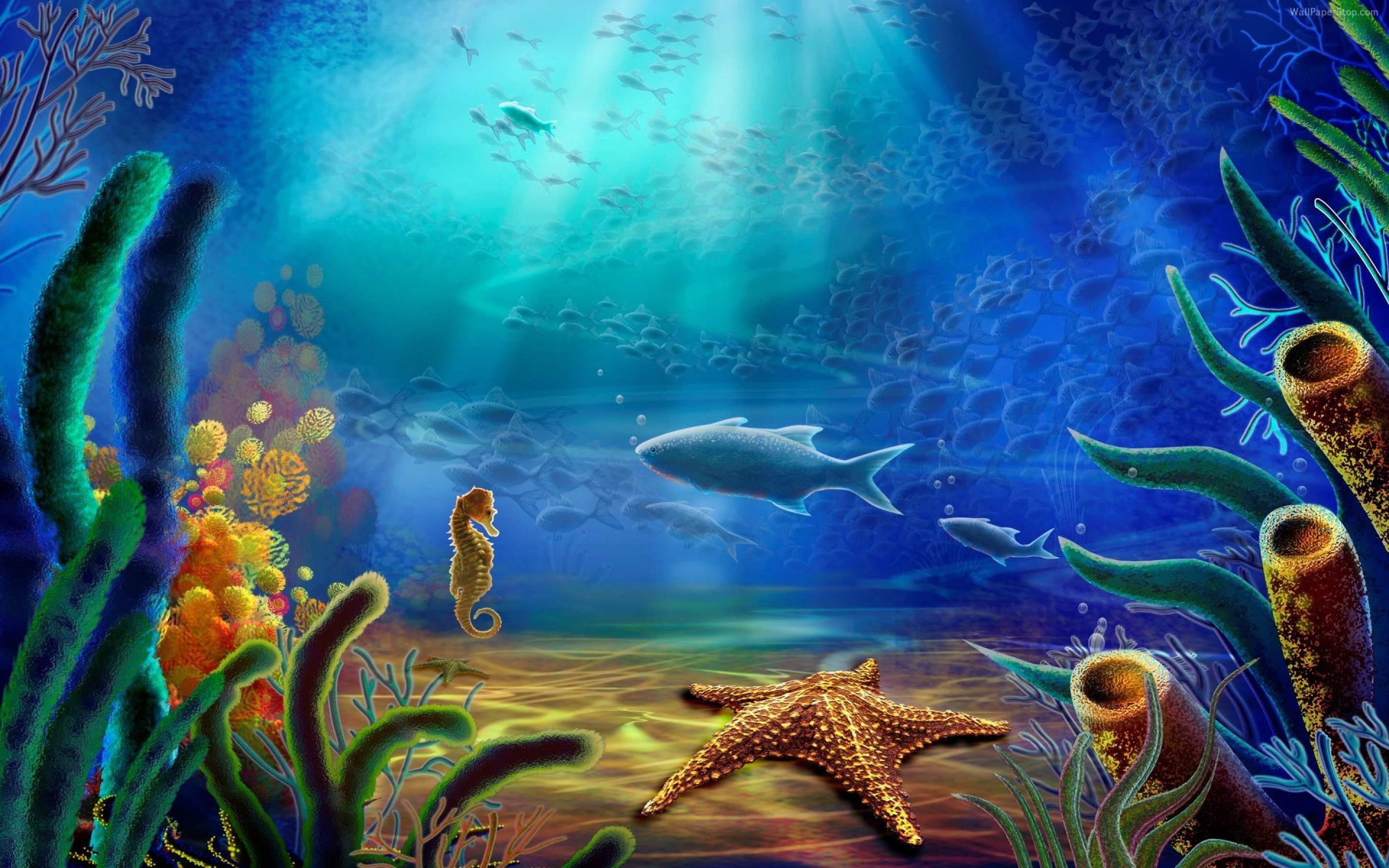 Царство животные рыбы. Морское дно. Подводный мир. Обитатели морского дна. Подводный мир океана.