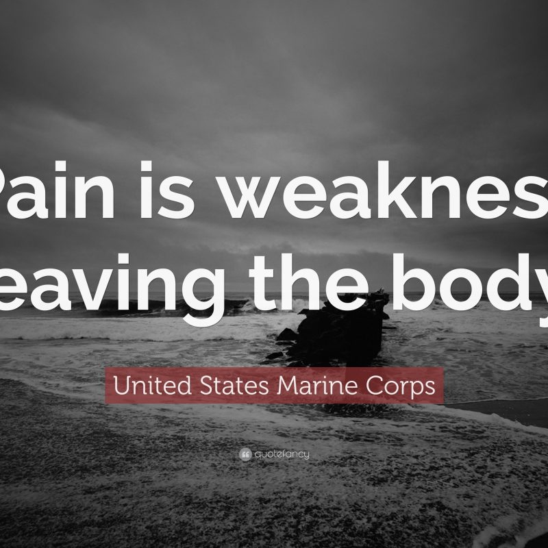 10 New United States Marine Wallpapers FULL HD 1920×1080 For PC Background 2023 free download united states marine corps quotes 2 wallpapers quotefancy 800x800