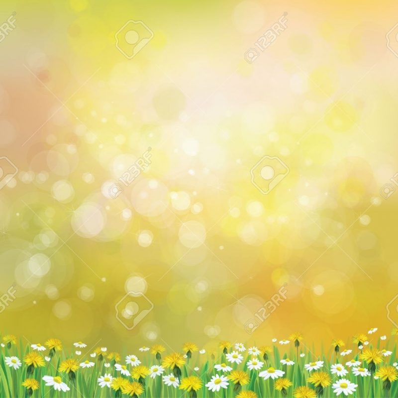 10 Best Free Spring Background Images FULL HD 1080p For PC Desktop 2023 free download vector nature spring background with chamomile and dandelions 800x800