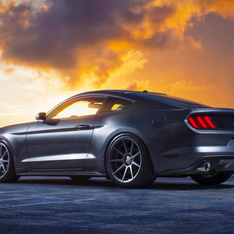 10 Latest 2016 Mustang Gt Wallpaper FULL HD 1920×1080 For PC Background 2023 free download velgen ford mustang vmb9 wheels wallpaper hd car wallpapers 800x800