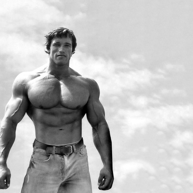 10 New Arnold Schwarzenegger Hd Wallpaper FULL HD 1920×1080 For PC Background 2024 free download %name