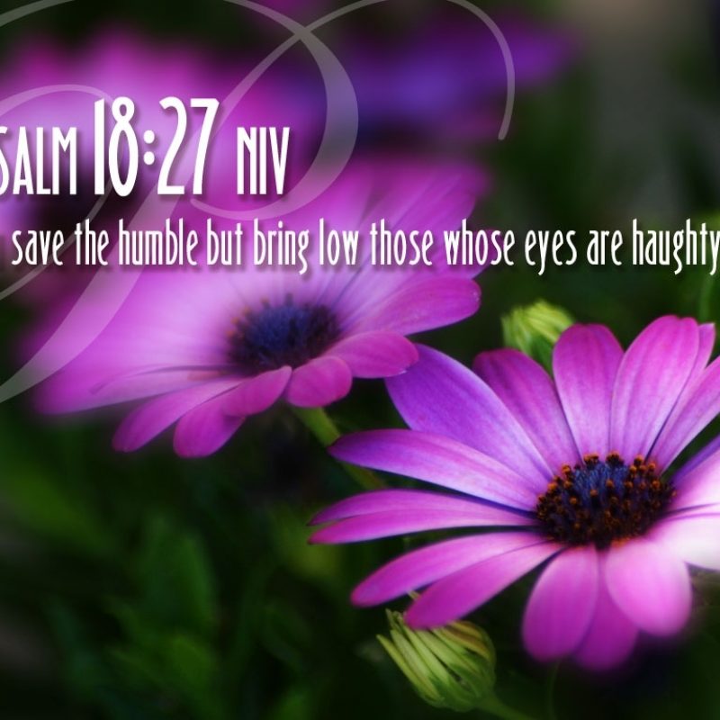 10 Latest Bible Verses Wallpapers Free Download FULL HD 1920×1080 For PC Background 2022 free download wallpapers 800x800