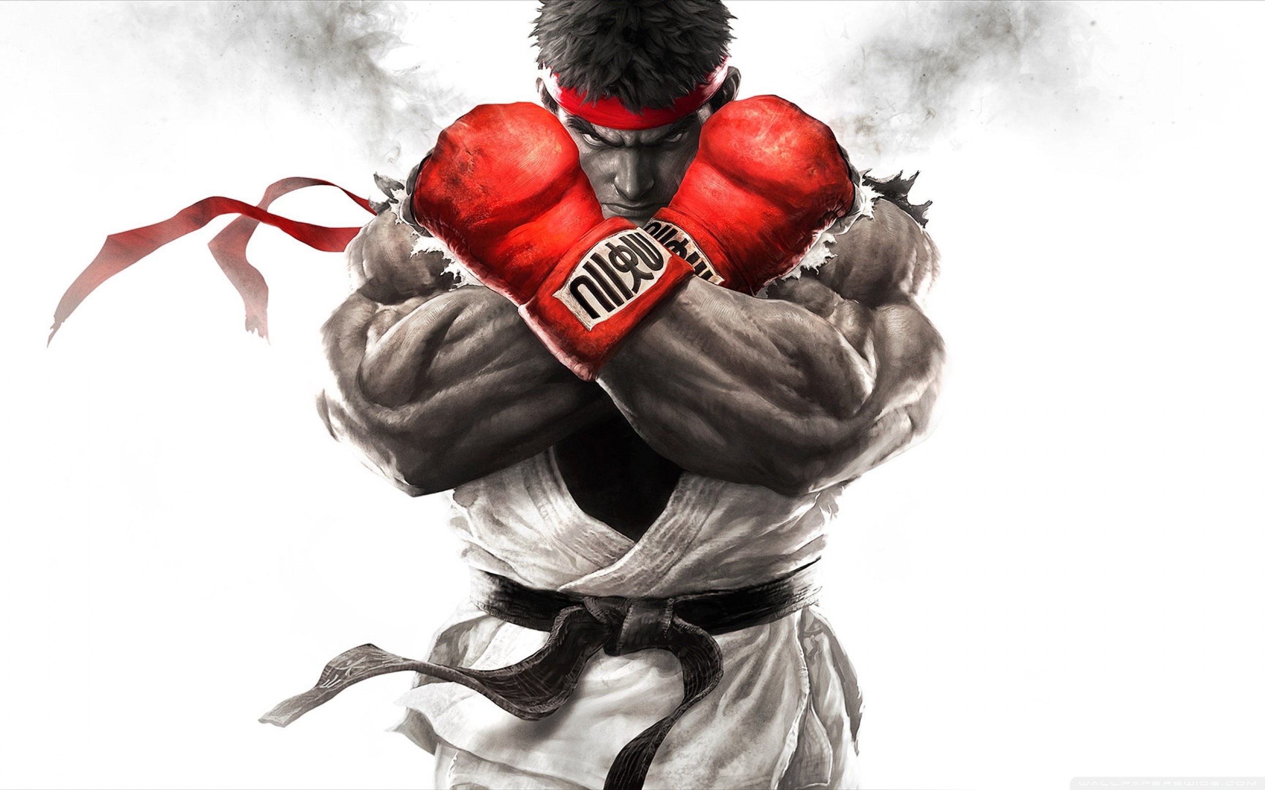 10 Top Street Fighter Hd Wallpaper FULL HD 1080p For PC Background