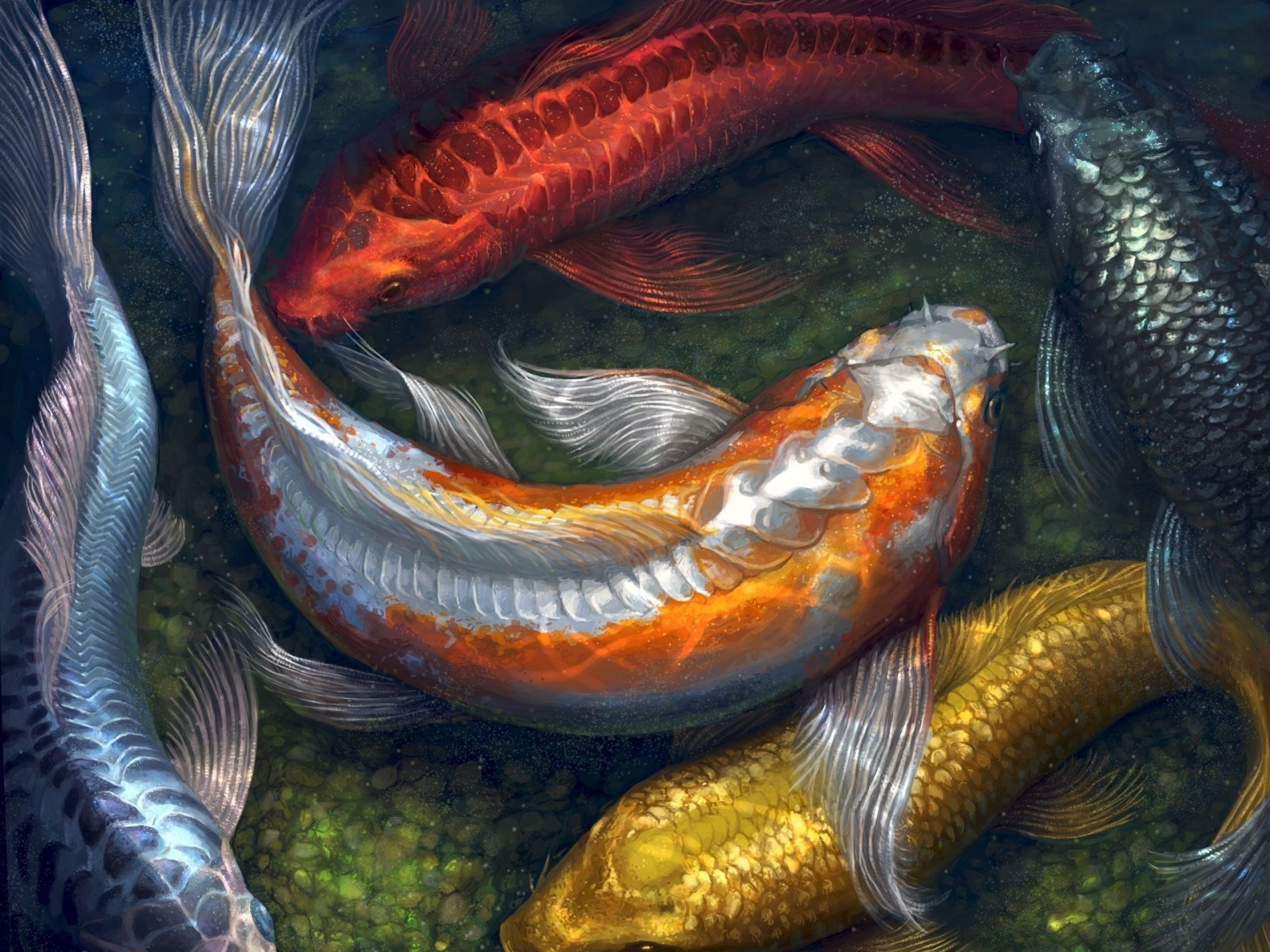 10 Most Popular Koi Fish Wallpaper Hd FULL HD 1080p For PC Background 2021