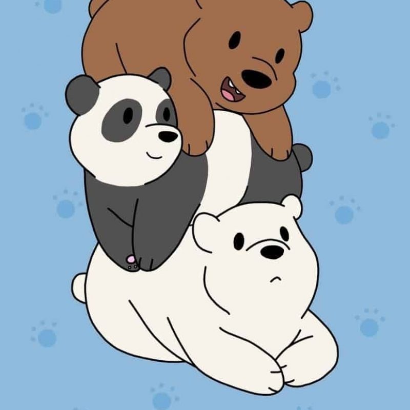 10 Top We Bare Bears Wallpaper FULL HD 1920×1080 For PC Background 2024 free download we bare bears wallpaper hd desktop desktop wallpapers 800x800