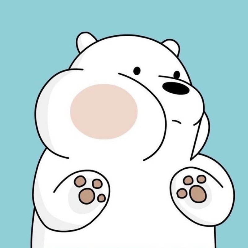 10 Top We Bare Bears Wallpaper FULL HD 1920×1080 For PC Background 2024 free download we bare bearsf09f929e on twitter we bare bears wallpapers f09f9295 1 800x800