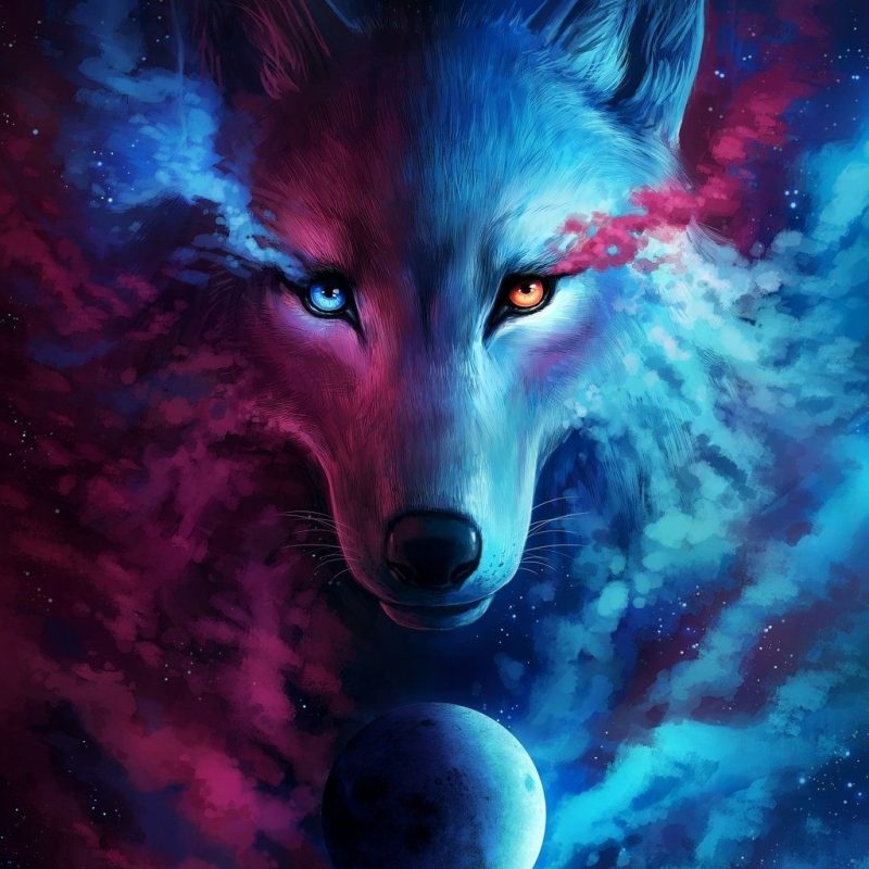 10 Latest Cool Wolf Backgrounds Light FULL HD 1920×1080 For PC Background 2024 free download where light and darkness meet video processjojoesart 800x800
