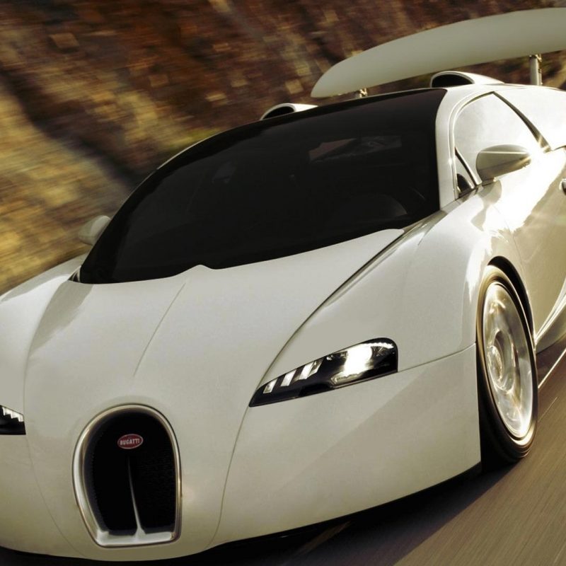 10 Most Popular Bugatti Veyron Hd Wallpapers 1080P FULL HD 1920×1080 For PC Desktop 2024 free download white bugatti veyron hd wallpaper wallpapersfans 800x800