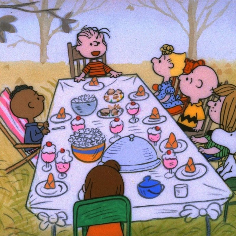 10 New Charlie Brown Thanksgiving Wallpaper FULL HD 1080p For PC Desktop 2023 free download why not be grateful thanksgiving happy thanksgiving and 800x800