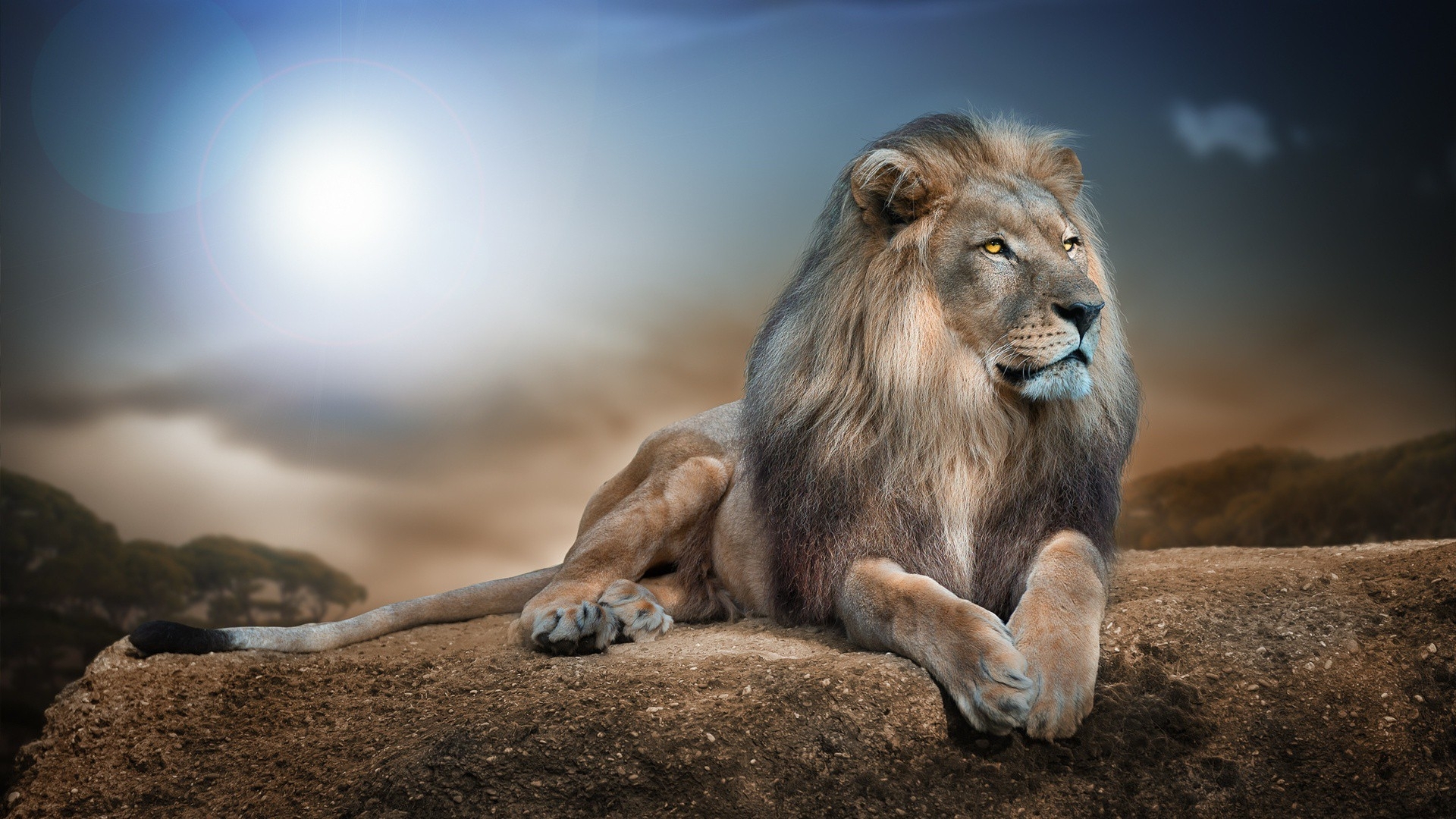 10 Best Wild Animal Wall Paper FULL HD 1080p For PC Desktop