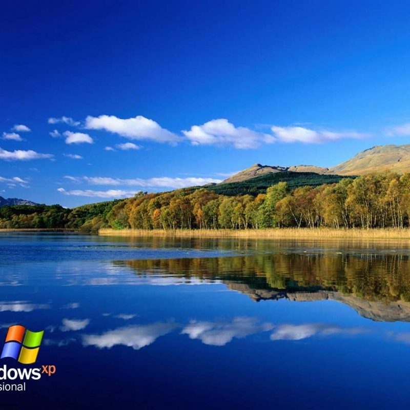 10 New Windows Xp Background Hd FULL HD 1080p For PC Background 2023 free download windows xp wallpapers hd wallpaper cave 4 800x800