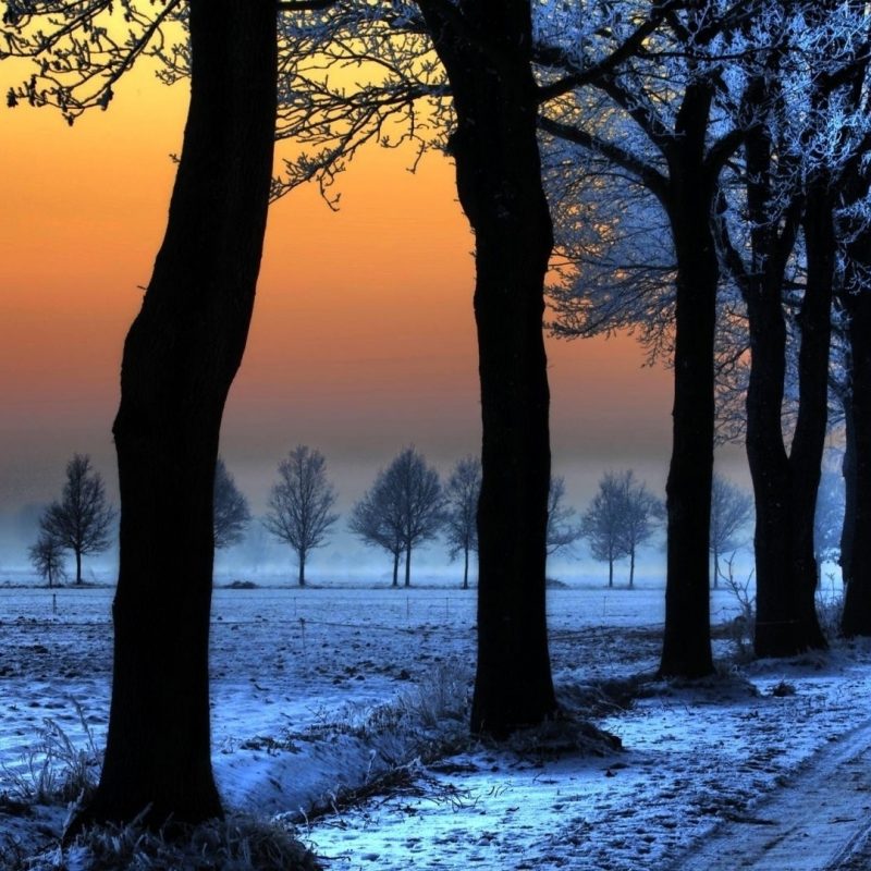 10 Most Popular Winter Landscape Wallpaper Hd FULL HD 1080p For PC Background 2022 free download winter landscape with orange sky e29da4 4k hd desktop wallpaper for 4k 800x800