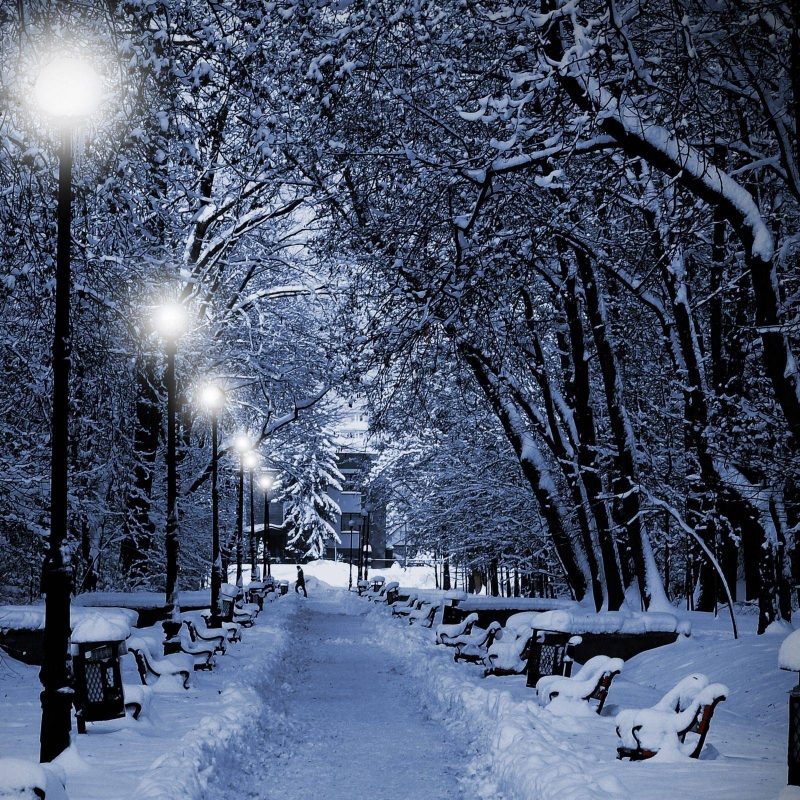 10 Top Winter Night Wallpaper Hd FULL HD 1080p For PC Desktop 2022 free download winter night wallpapers wallpaper cave 2 800x800