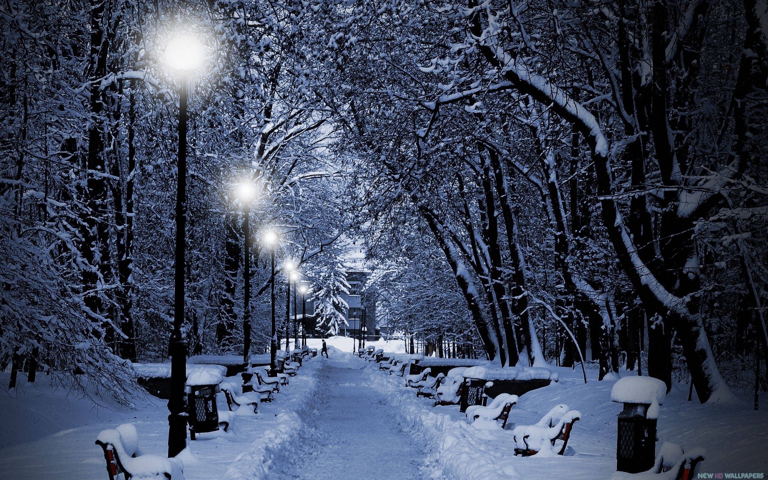 10 Most Popular Winter Night Hd Wallpaper FULL HD 1920×1080 For PC Background