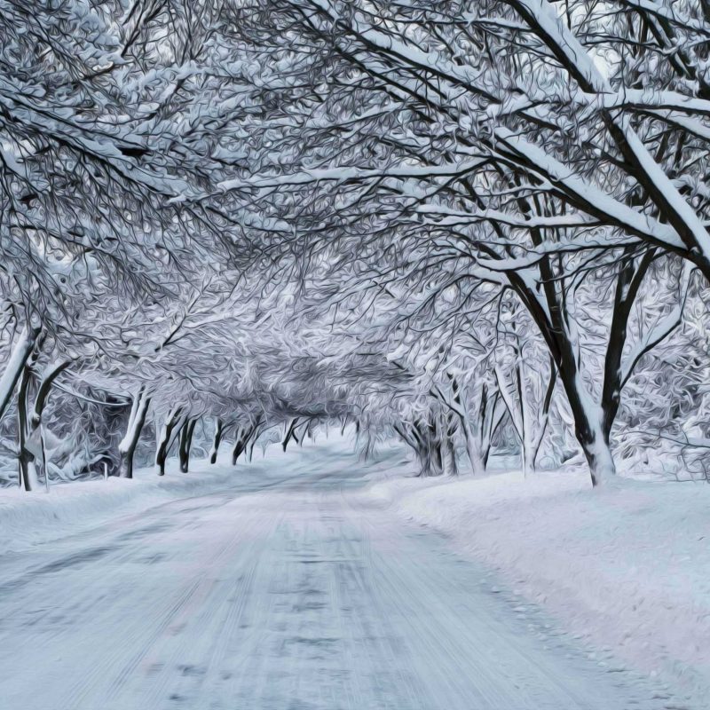 10 New Images Of Snow Scenes FULL HD 1920×1080 For PC Desktop 2023 free download winter snow scenes winter nature snow scene winter scenes 800x800