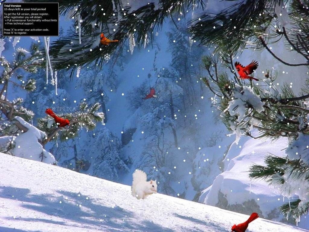 winter wallpapers full hd group 1920×1080 winter screen wallpapers
