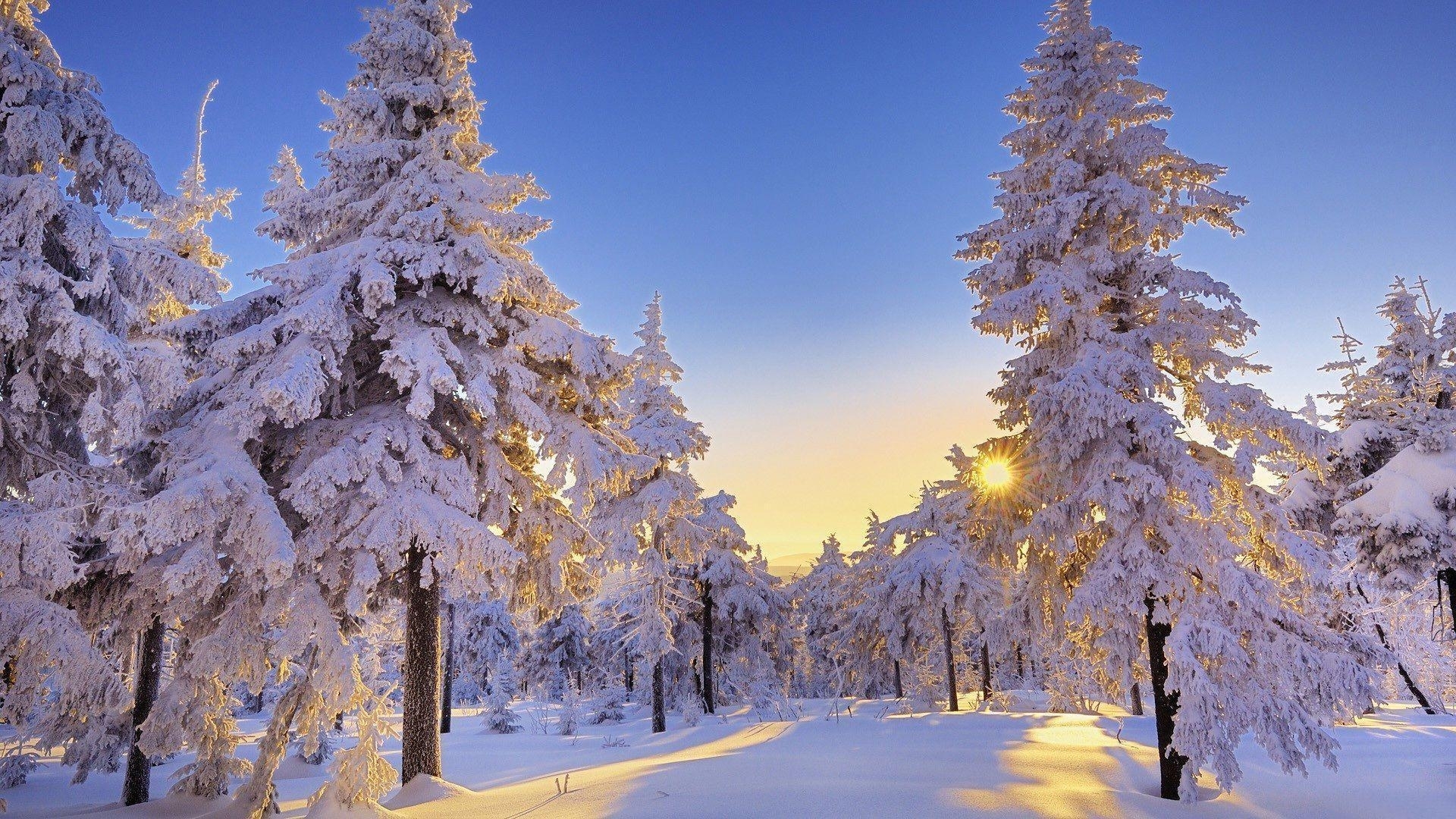10 Latest Winter Wonderland Backgrounds For Desktop FULL HD 1080p For PC Desktop