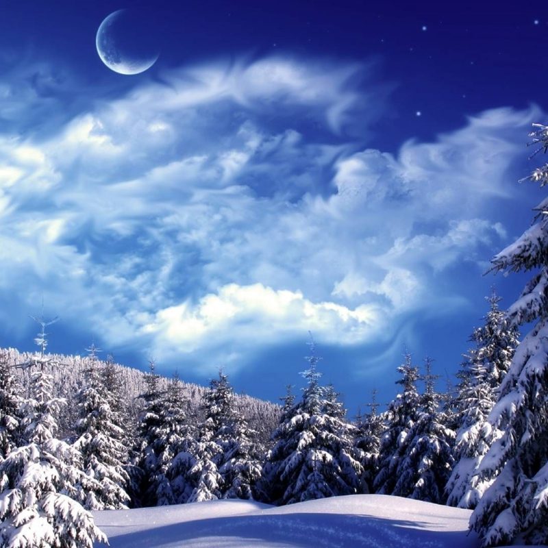 10 Latest Winter Wonderland Background Pictures FULL HD 1080p For PC Background 2023 free download winter wonderland desktop backgrounds wallpaper wonderland 800x800