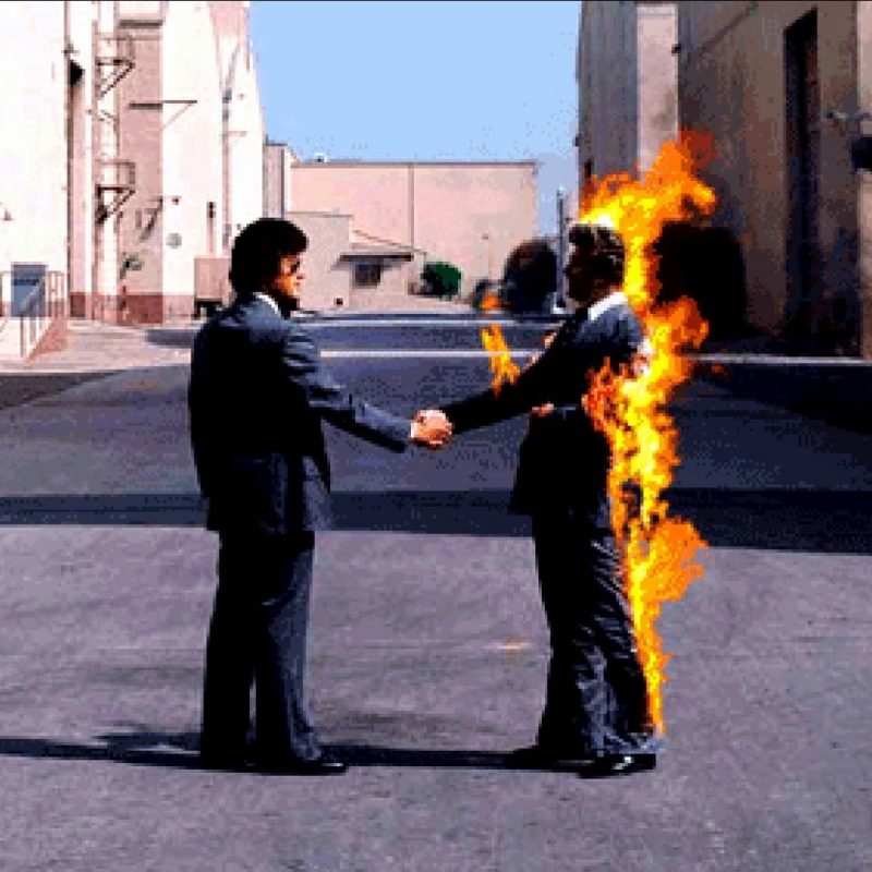 10 Most Popular Wish You Were Here Album Cover Wallpaper FULL HD 1080p For PC Desktop 2023 free download wish you were here wallpapers wallpaper cave 4 800x800