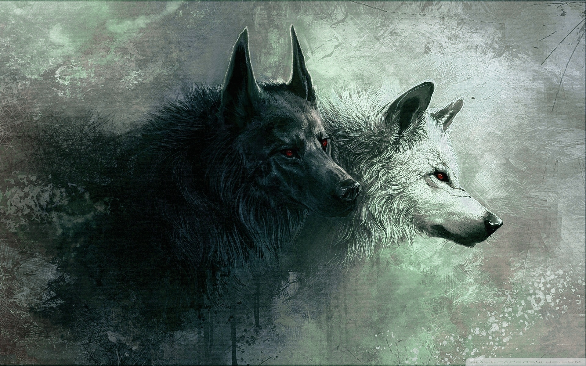10 New Wolf Pictures For Wallpaper FULL HD 1920×1080 For PC Desktop