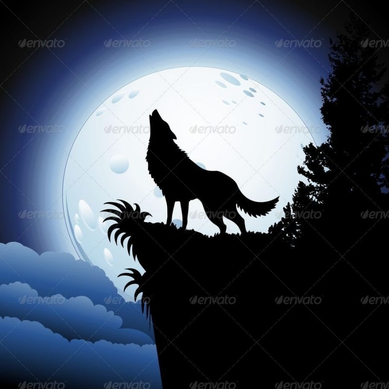 10 Best Wolf Howling At The Moon Picture FULL HD 1080p For PC Background 2024 free download wolf howling at moon drawing at getdrawings free for personal 800x800