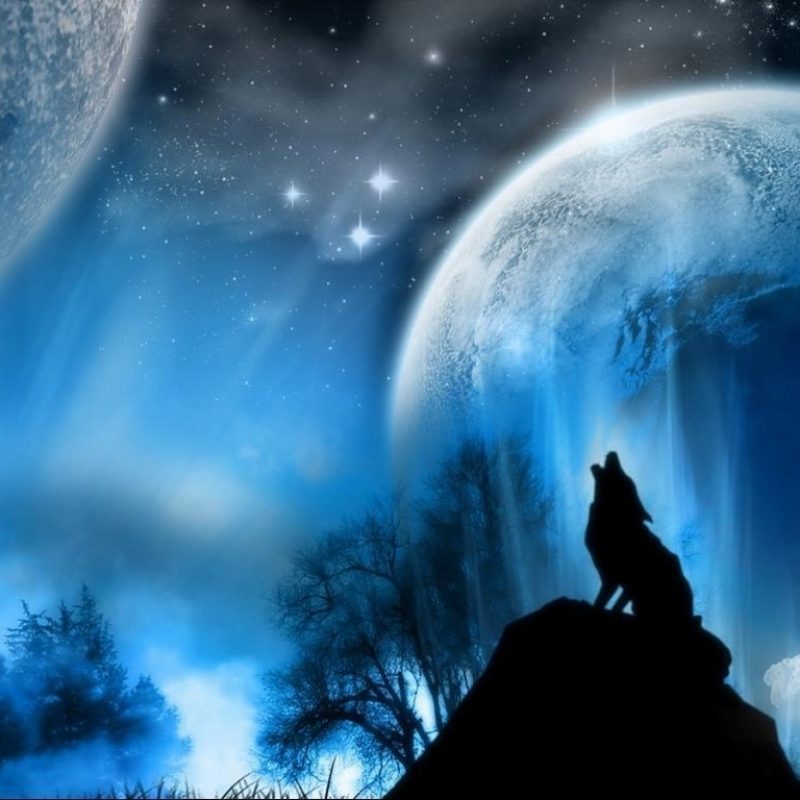 10 Top Moon And Wolf Wallpaper FULL HD 1920×1080 For PC Background 2022 free download wolf howling at the moon wallpapers wallpaper cave 2 800x800