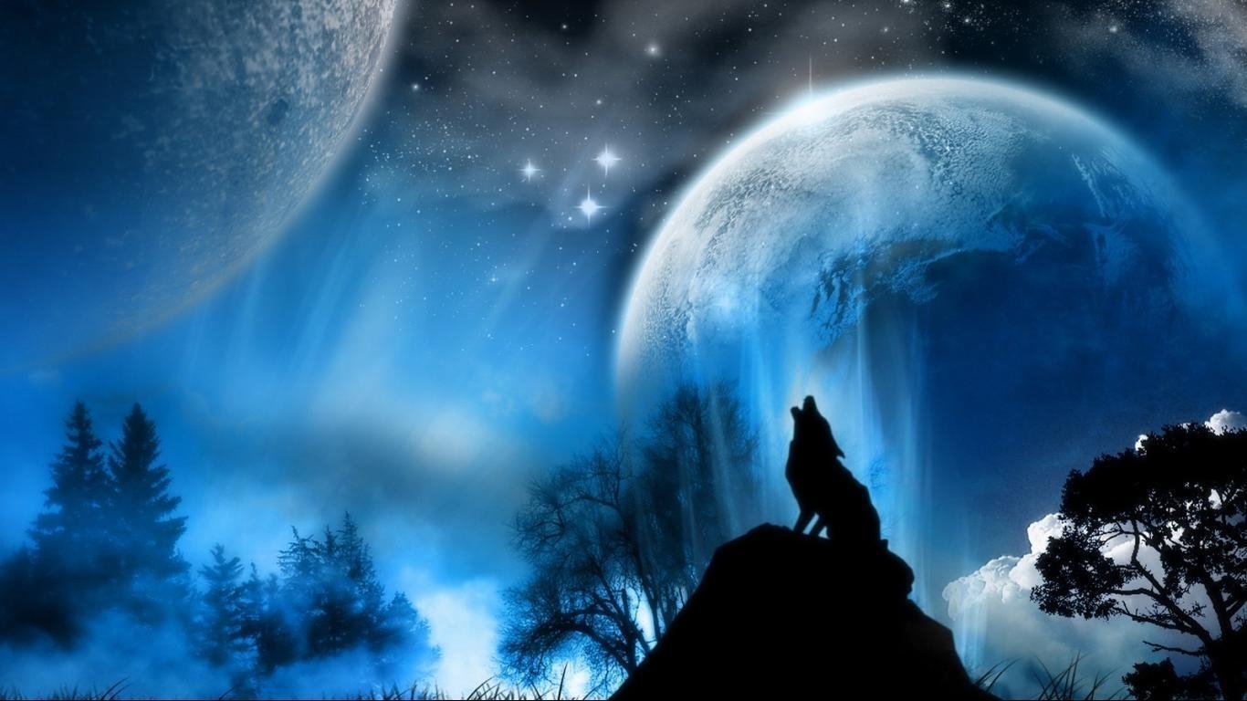 10 Best Wolf Howling At The Moon Wallpaper FULL HD 1080p For PC Background