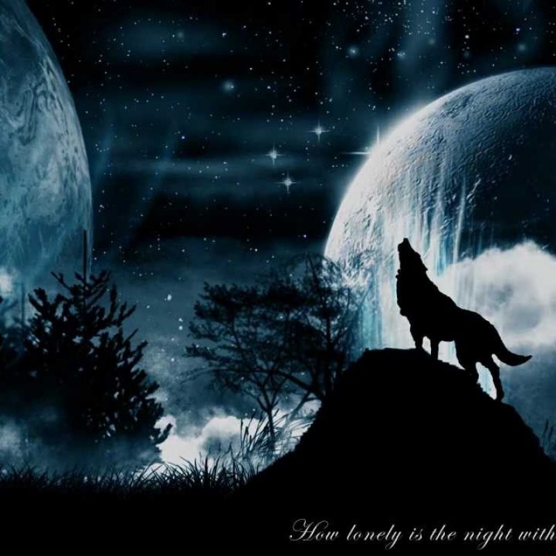 10 New Wolf Pictures For Wallpaper FULL HD 1920×1080 For PC Desktop 2023 free download wolf wallpaper progression youtube 800x800