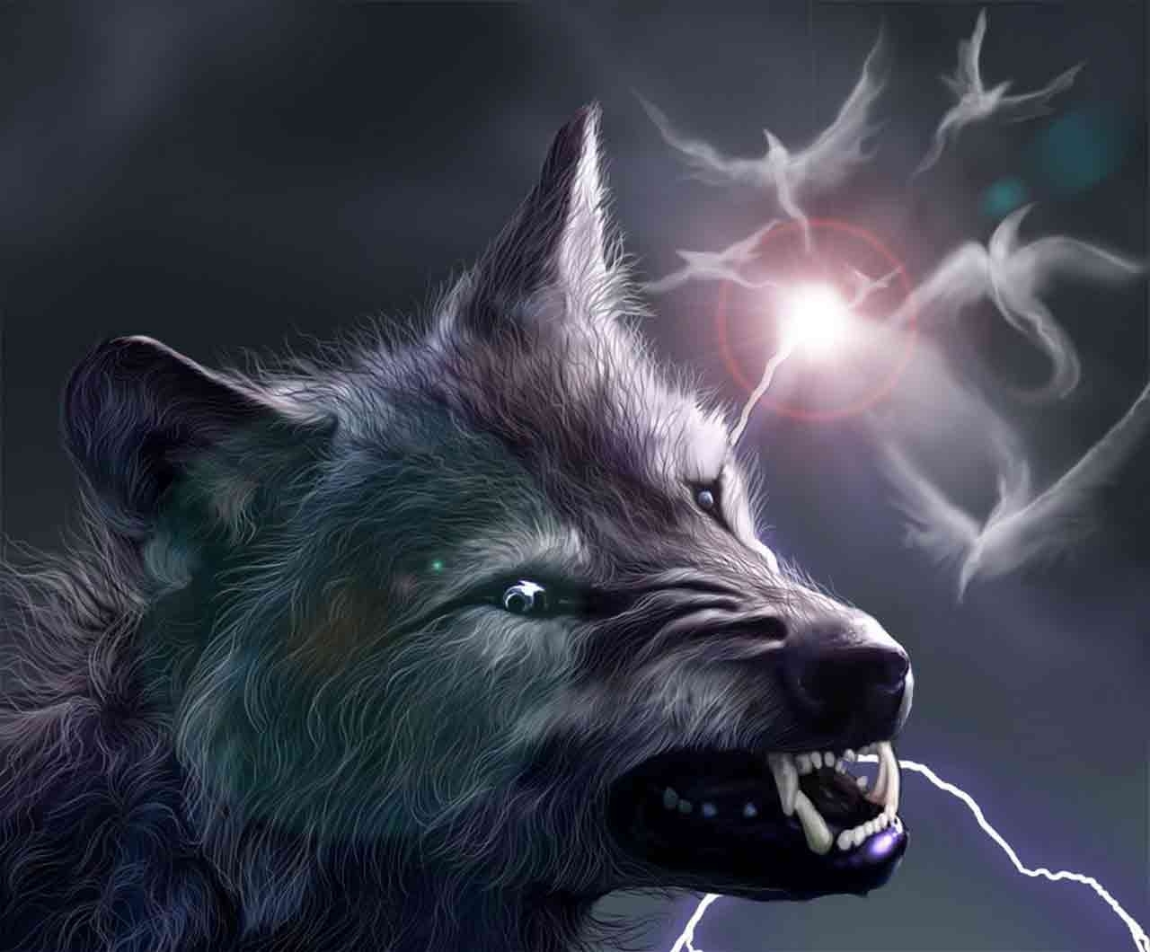 10 Top Free Wolf Wallpaper For Android FULL HD 1080p For PC Desktop